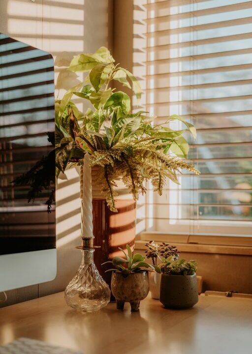 Tips for Creating a Cozy and Organized Home Office Space